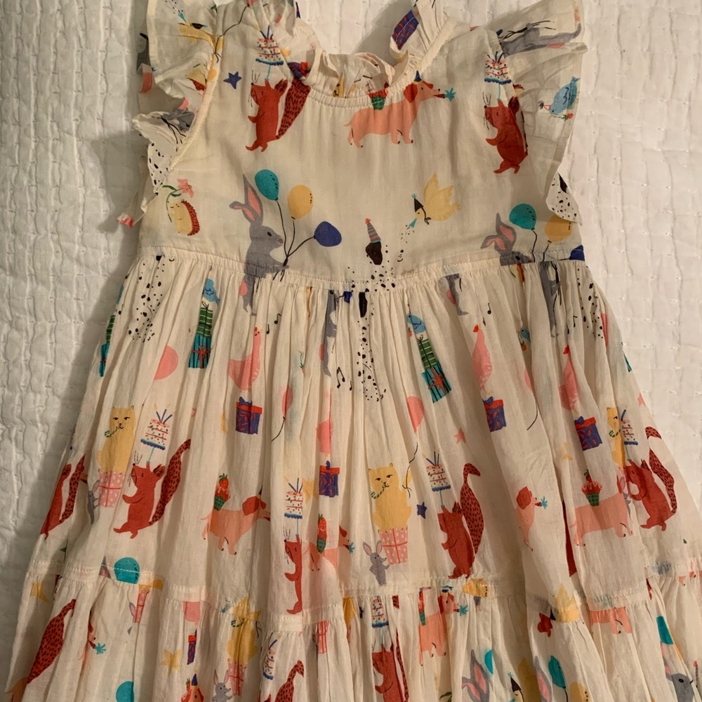 Pink Chicken-Birthday Buddies Dress-4Y with a flaw